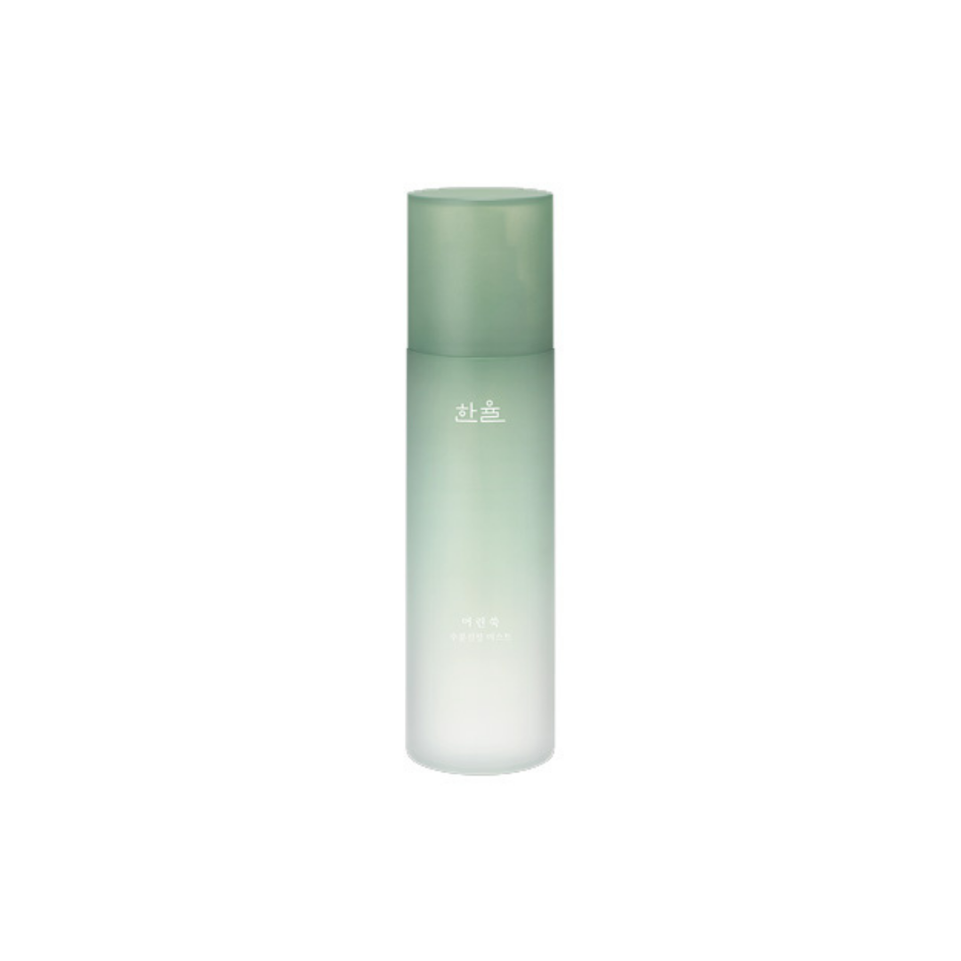 Hanyul Pure Artemisia Fresh Calming Mist - Korean Morning Skincare Ritual by mein40