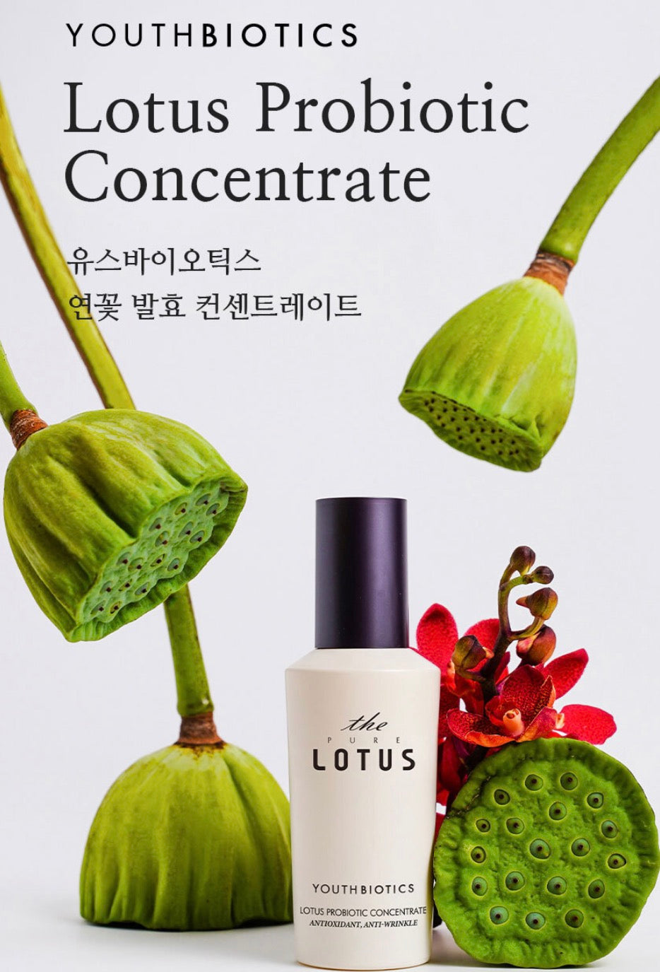 the pure lotus Youthbiotic Concentrate