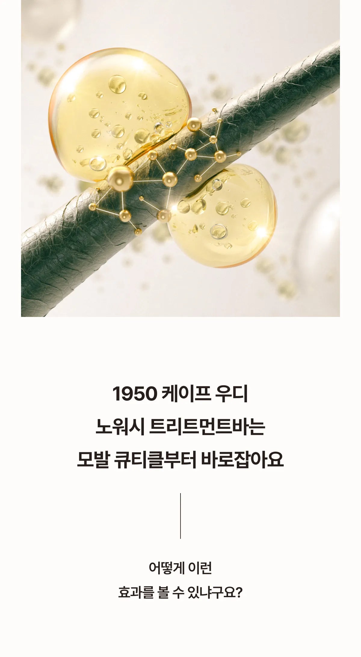 1950 Jeju Cape Woody Hair & Scalp Care Gift Set