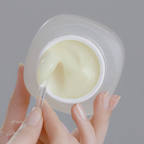 Incellderm Active EX Cream